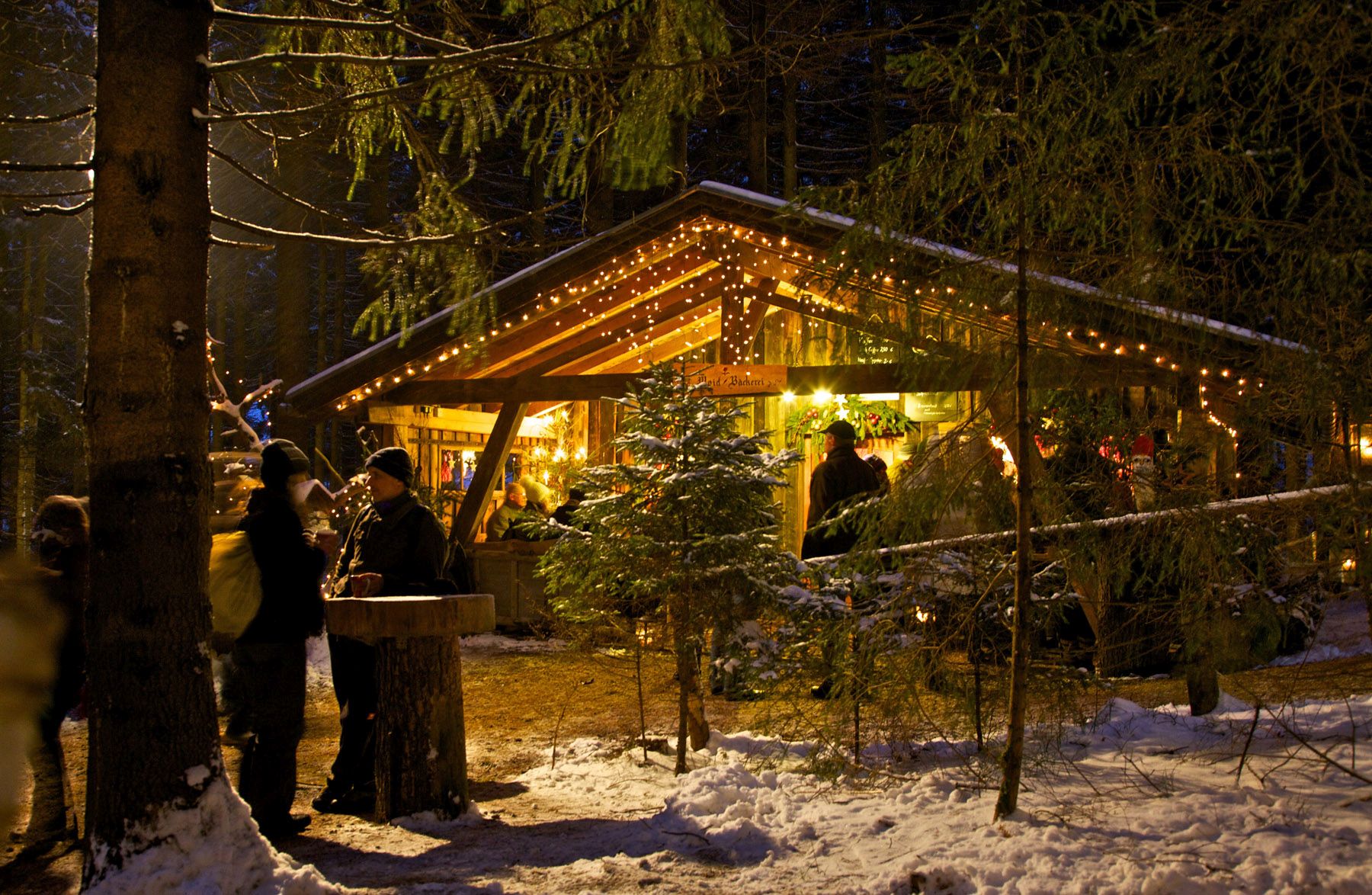 Waldweihnacht in Schweinhütt